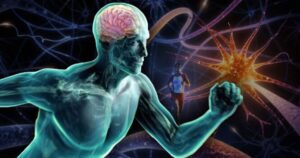 The Science of Fitness: Understanding How Exercise Impacts Your Body